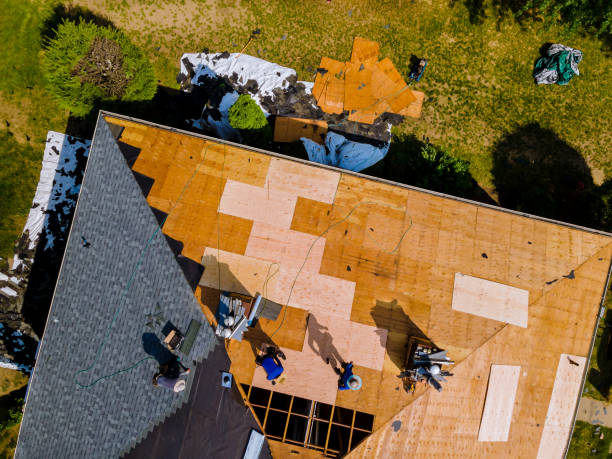 Roof Waterproofing Services in South Bend, IN